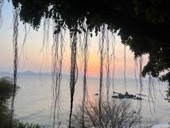 -胡里山炮台