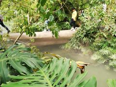 -南通洲际绿博园