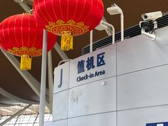 -上海浦东国际机场-T2航站楼