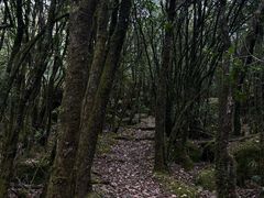 -冕宁灵山寺