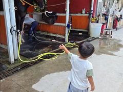 -名驭国际马术学院