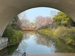 -洛阳市隋唐城遗址植物园