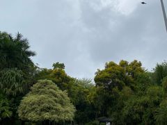 -深圳国际园林花卉博览园