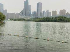 -天鹅湖体育公园