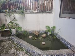 -她说户外烧烤团建(西湖店)