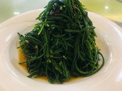 炝拌沙葱-国强手抓(北京西路店)