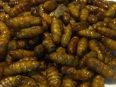 -瑞记湛江鸡饭店·粤西第一鸡(粤垦店)