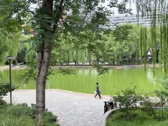 -团结湖公园