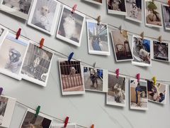 -瑞派康怡24h宠物医院·犬猫医疗中心·微创绝育(瑞景分院)