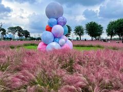 -汉长安城未央宫国家考古遗址公园