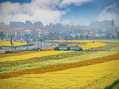 -中国天府农业博览园