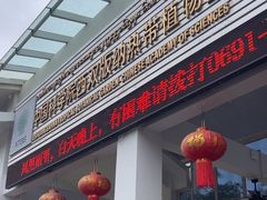 -中国科学院西双版纳热带植物园