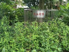 -广州神农草堂中医药博物馆