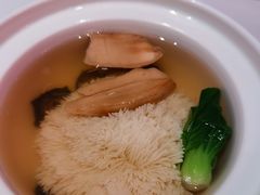 上汤参茸炖绣球-香乐园·淮扬菜中餐厅·Shang Garden(福田香格里拉店)