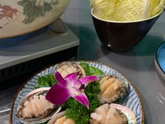 -金龙·打边炉(南京西路店)