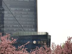 -元大都城垣遗址公园