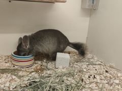 -龙猫仔乐园(惠福东路店)