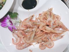 -海派美食·家宴海鲜青岛菜·石锅鲽鱼头(东方城店)