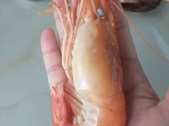 -小象钓虾·营地烧烤(洛溪店)