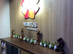 -ventus spa 沙巴亚庇正宗精油按摩会所