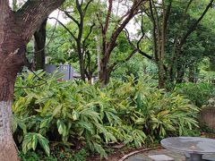 -永安龟山公园