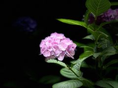 -常州古运河南大街文化旅游区-人民公园