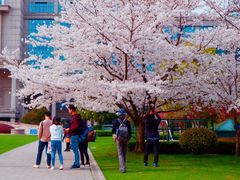 -复旦大学光华楼