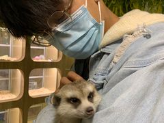 -藦茜花园宠物主题亲子互动体验馆(国顺东路店)