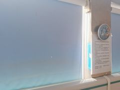 -中国农业大学动物医院