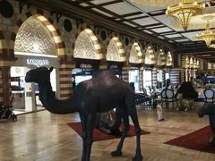 -迪拜水族馆及水下动物园