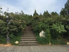 -北京周口店北京人遗址博物馆