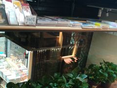 -猫的天空之城概念书店(苏州平江店)