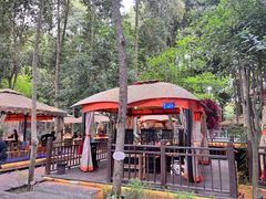 -二荆条·蜀鲜汇城市森林火锅