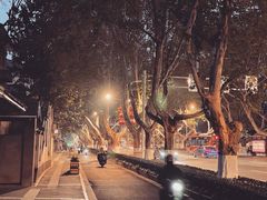 -颐和路民国时期公馆风貌区