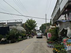 -金陵花卉交易市场