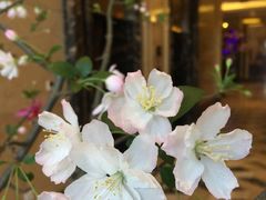 -碧桂园凤凰城酒店(南京店)