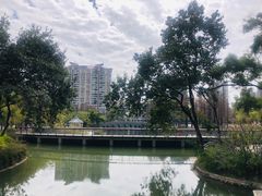 -四海公园(南山区)