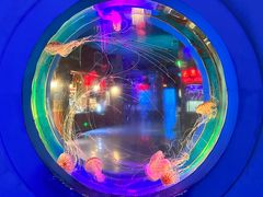 -太平洋海底世界