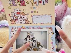 -汪说·狗咖·拼豆·宠物周边DIY(旺城大厦店)