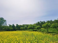 -北坞公园