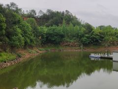 -龙川湾千岛湖国际垂钓中心