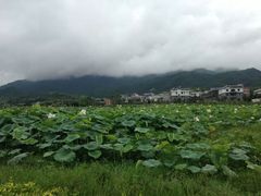 -古田会议纪念馆