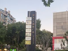 -证大大拇指广场(芳甸路店)