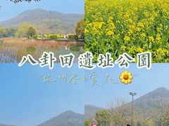 -八卦田遗址公园