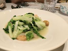 -桂满陇·海市蜃楼·黑金(国金店)