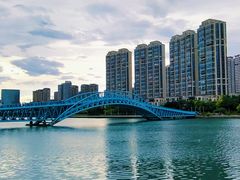 -五缘湾湿地公园