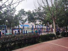 -金城公园