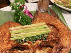 -紫滇源云南生态菜(丹凤街店)