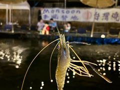 -DGE季风钓虾营地·团建·聚会
