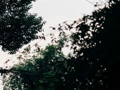 -花腰餐吧Bistro烧烤 傣味(传媒大学店)